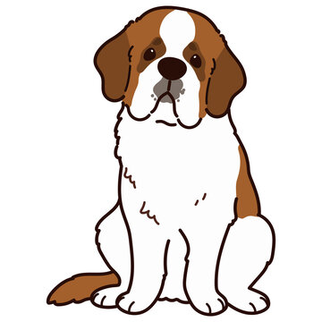 Simple and adorable outlined Saint Bernard Dog illustration Sitting in front view