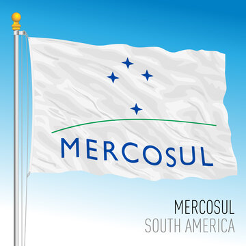 Mercosul organization flag, South America, Brazil, isolated on the white background, vector illustration
