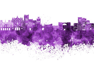 Obraz premium Avila skyline in watercolor background
