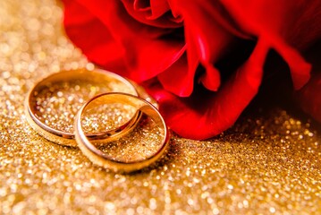 Gold wedding rings and Red roses on a Golden background
