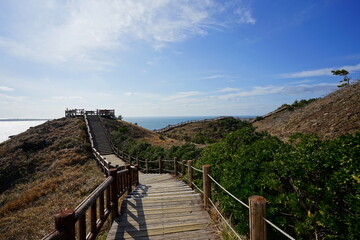 Obraz premium cliff walkway and sea