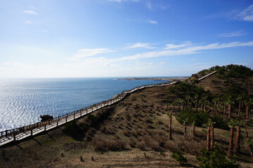 Fototapeta na wymiar cliff walkway and sea