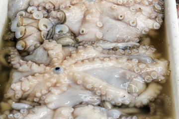 Fototapeta na wymiar fresh octopus sell at Bolhao market in Porto, Portugal