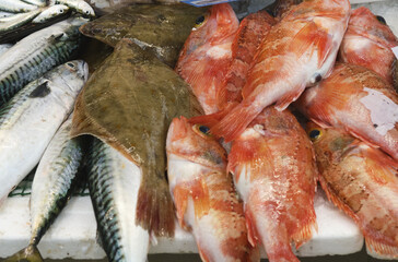 fish sell at Bolhao market in Porto, Portugal