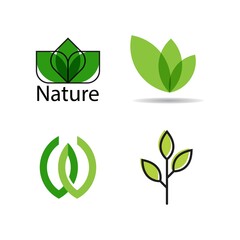 Green leaf logo