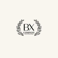 BX Beauty vector initial logo art  handwriting logo of initial signature, wedding, fashion, jewelry, boutique, floral