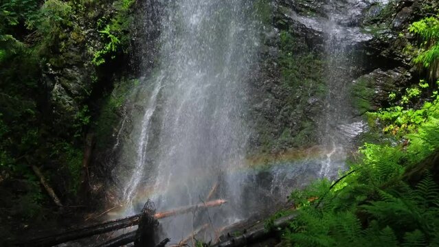 Summer Yalyn waterfall, highest one in Ukrainian Carpathian Mountains, Marmaros. Beautiful rainbow in water streams and water dust. Vertical panning video from hand, some uneven move and shaking.
