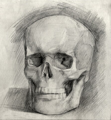Scull pencil drawing