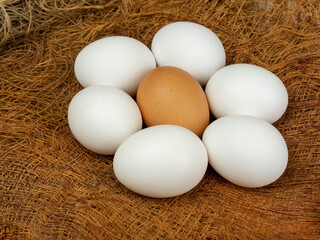 Natural chicken eggs lie on sackcloth. Organic products from farm. 
