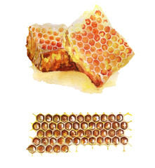 Honeycombs illustrations - obrazy, fototapety, plakaty