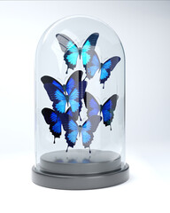 Blue butterflies under the glass dome on white background. 3D rendering.