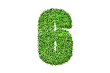 6 number in green grass filled the character . Isolated from a white background