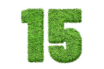 15 number in green grass filled the character . Isolated from a white background