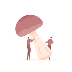 Illustration of people holding or harvesting Porcini mushrooms. premium pornici mushrooms. fungi and plants. flat cartoon style. vector concept design. landing page ui element