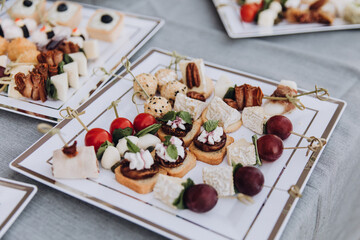 On the buffet table there are plates with appetizers and snacks from tomatoes, cheese and grapes.