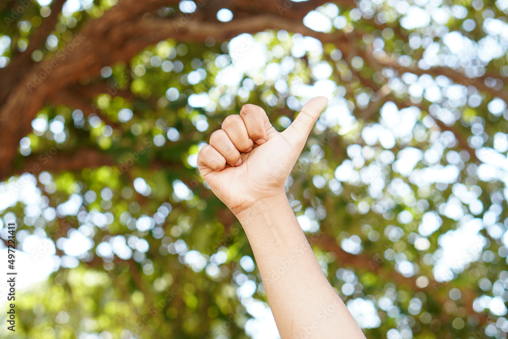 Wall mural human hand like green bokeh background           