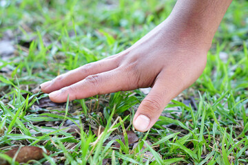 human hand touching grass and soil