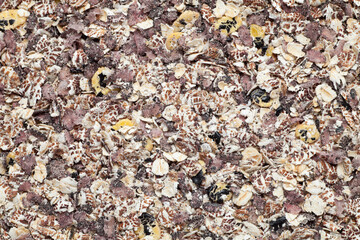 Multigrain made from rye, triticale, black rice, black beans, black sesame. Food bcakground.