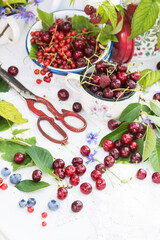 Freshly gathered juicy and delicious  raspberry, cherries, blueberries and red currants in a white metal plate and cup, berries on a white tablecloth with scissors and green natural leaves background,