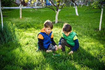 Obraz premium Kids on Easter egg hunt in blooming spring garden. Children searching for colorful eggs in flower meadow. Toddler boy and his brother friend kid boy play outdoors