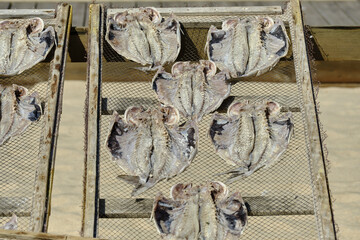 Many sun-dried flatfish on racks on the beach in Nazaré, Portugal