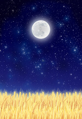 麦畑　満月の夜