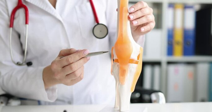 Doctor shows anatomy of structure of human knee joint