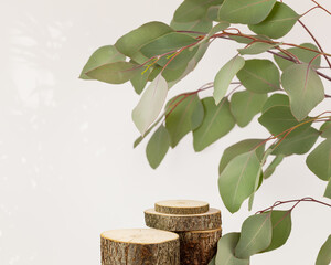 Wooden podiums with a branch with green leaves on a light neutral background. Concept scene stage...