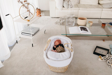 Newborn baby sleeping in cot in living room
