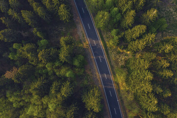Aerial shot looking down at the tree tops and a road from above concept image