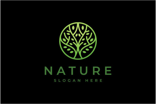 Circle line tree logo design template. Abstract plant natural line symbol. business company sign.