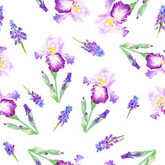 Seamless background with Iris Watercolor Botanical Illustration - 497234885