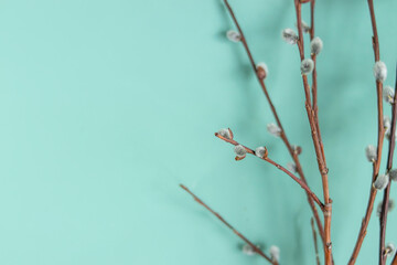 easter tree on blue background