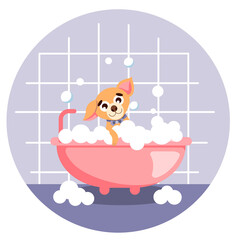 A dog (chihuahua) takes a bubble bath. Grooming