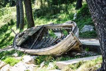 old boat in the forest