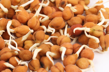 Sprouted Kala Chana or Black or brown Chickpeas - it's a vegan substitute for rich protein