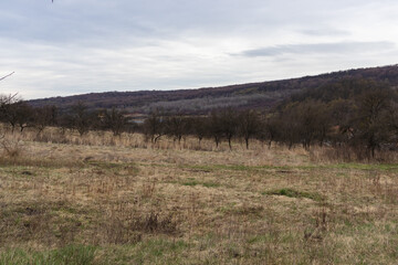 Amazing view of the meadow and forest between hills. Early spring. Zakarpatska Oblast