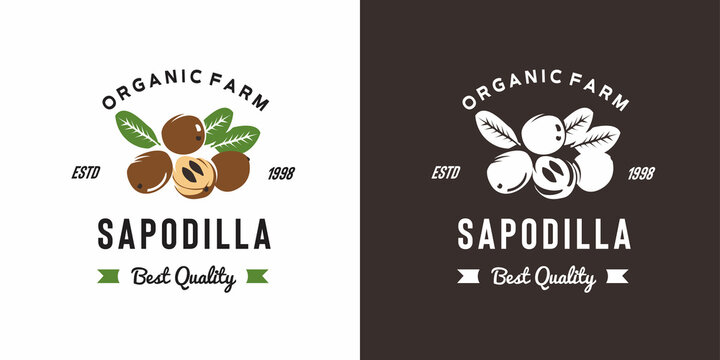 vintage sapodilla fruit logo illustration suitable for fruit shop and fruit farm