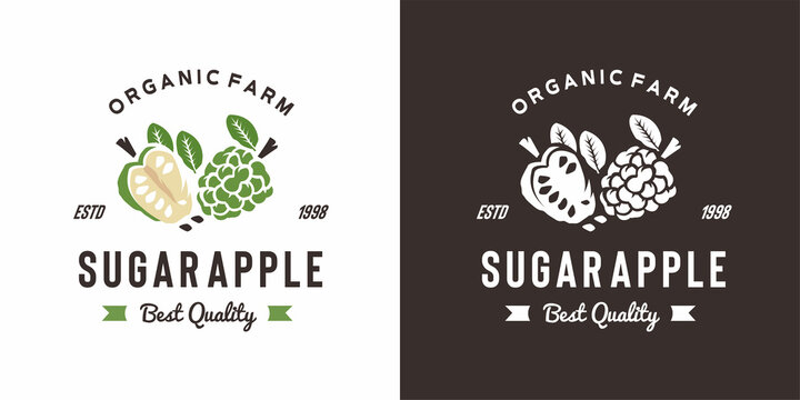 vintage sugar apple fruit logo illustration suitable for fruit shop and fruit farm