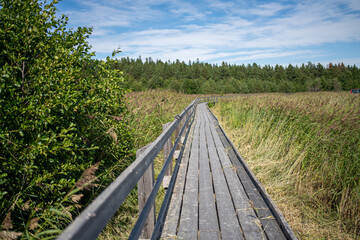 pitkospuut - woodenpath in finland