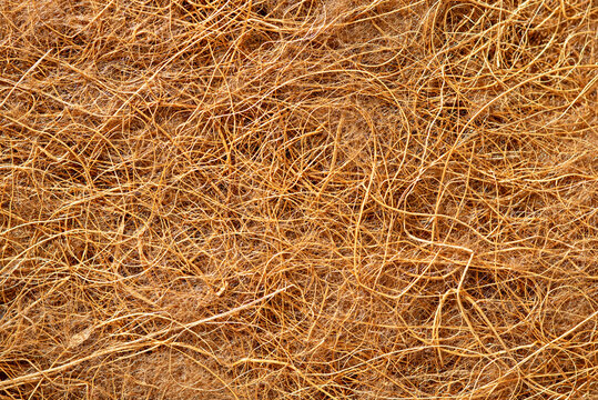 eco background, brown coconut fibrous surface, substrate for germination of microgreens
