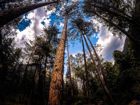 Landscape photography in Himachal