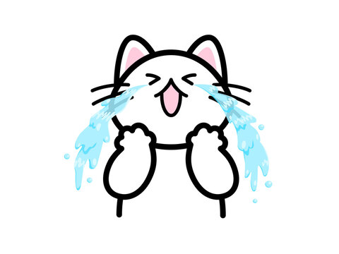 悔し泣き Images Browse 29 Stock Photos Vectors And Video Adobe Stock