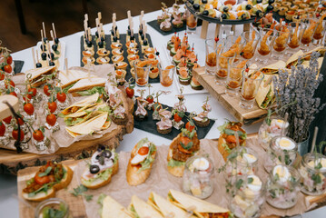 Delicacies and snacks at the buffet or banquet. Catering.