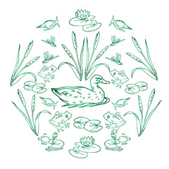 Vector doodle set of the inhabitants of the pond, swamp on a white background. Lake biotope, animals and plants: snails, reeds, water lilies, duck, frogs, dragonflies. Hand drawing.