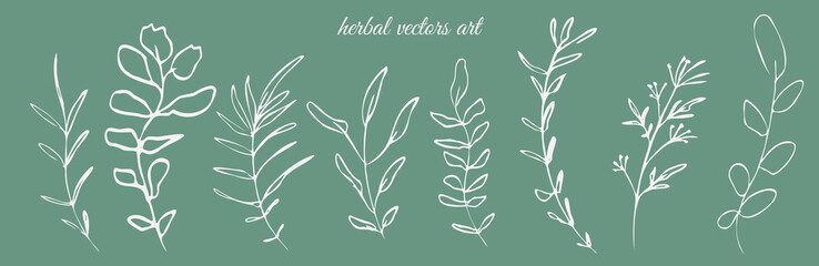 Hand drawn herbal vectors art on a green background. Botanical, chic and trendy plants. Hand drawn lines, elegant leaves for your own design. Flower branch and minimalistic modern plants.