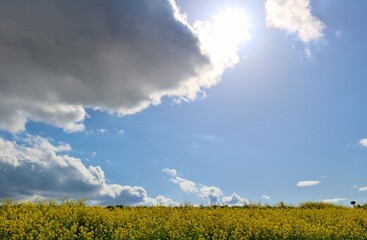 晴れ間の中の不穏な雲行き　渡良瀬の春　イメージ　背景　風景