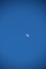 Processed with VSCO with l1 preset