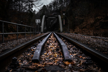 Wandern am Bachlauf