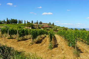 Fototapeta na wymiar Rural landscape near Montalcino,Siena, Tuscany